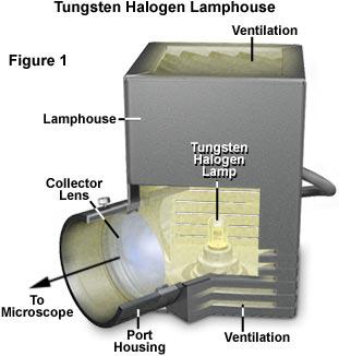 光學顯微鏡各種不同種類的照明光源詳解