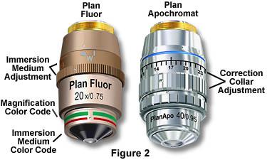 光學顯微鏡不同類型物鏡的標識和識別方法