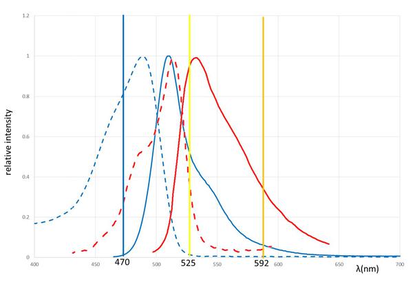 徠卡顯微鏡適合RNA探針