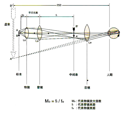尼康顯微鏡原理圖