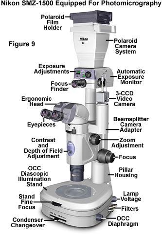 體視顯微鏡發展歷程和組成結構