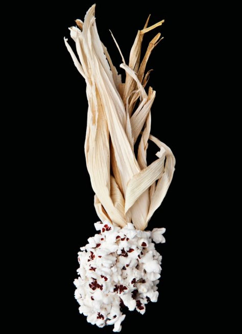 顯微鏡下的食物 帶來藝術性的沖擊感