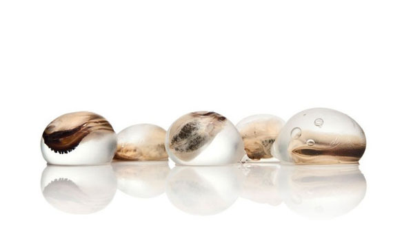 顯微鏡下的食物 帶來藝術性的沖擊感