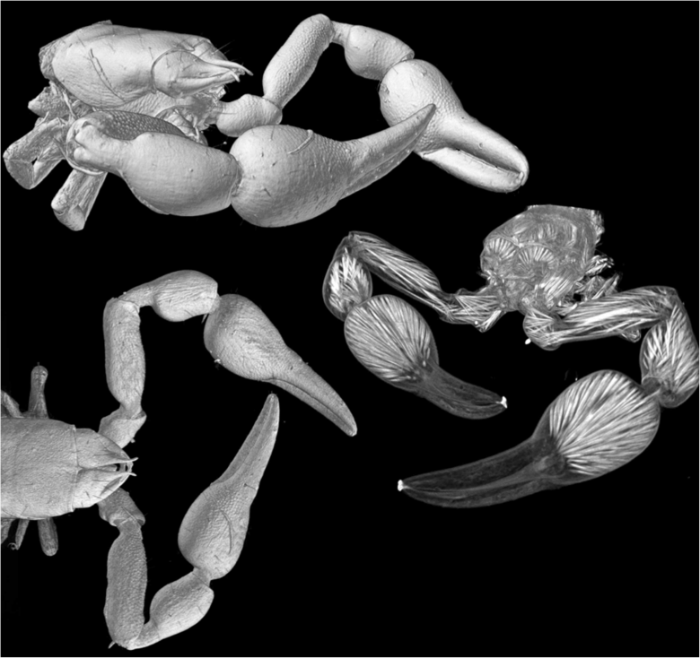 徠卡顯微鏡干燥生物樣品準備的顯微分析