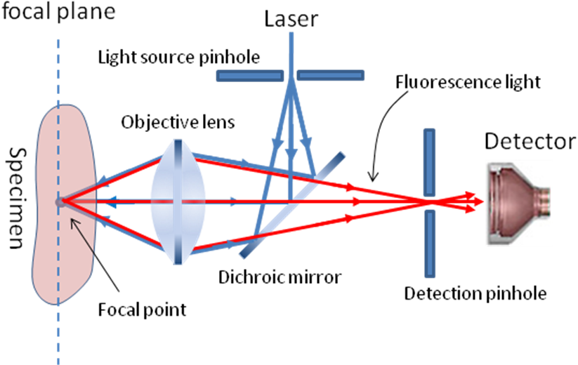 尼康顯微鏡激光共聚焦的原理