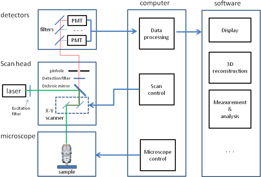 尼康顯微鏡激光共聚焦的原理