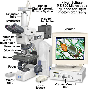 尼康顯微鏡早期數字網絡相機DN100