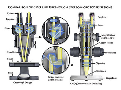 尼康顯微鏡格里諾和CMO光學系統的區別