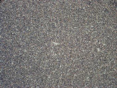 徠卡顯微鏡謹防“空”放大