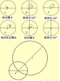 偏光顯微鏡的調節與校正