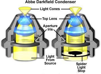 顯微鏡之聚光鏡種類詳解