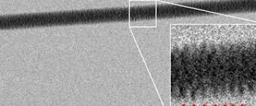 意大利科學家首次捕獲DNA圖片