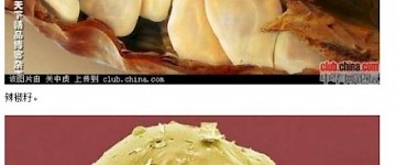 當美食與顯微鏡相遇之后,你會看到什么?